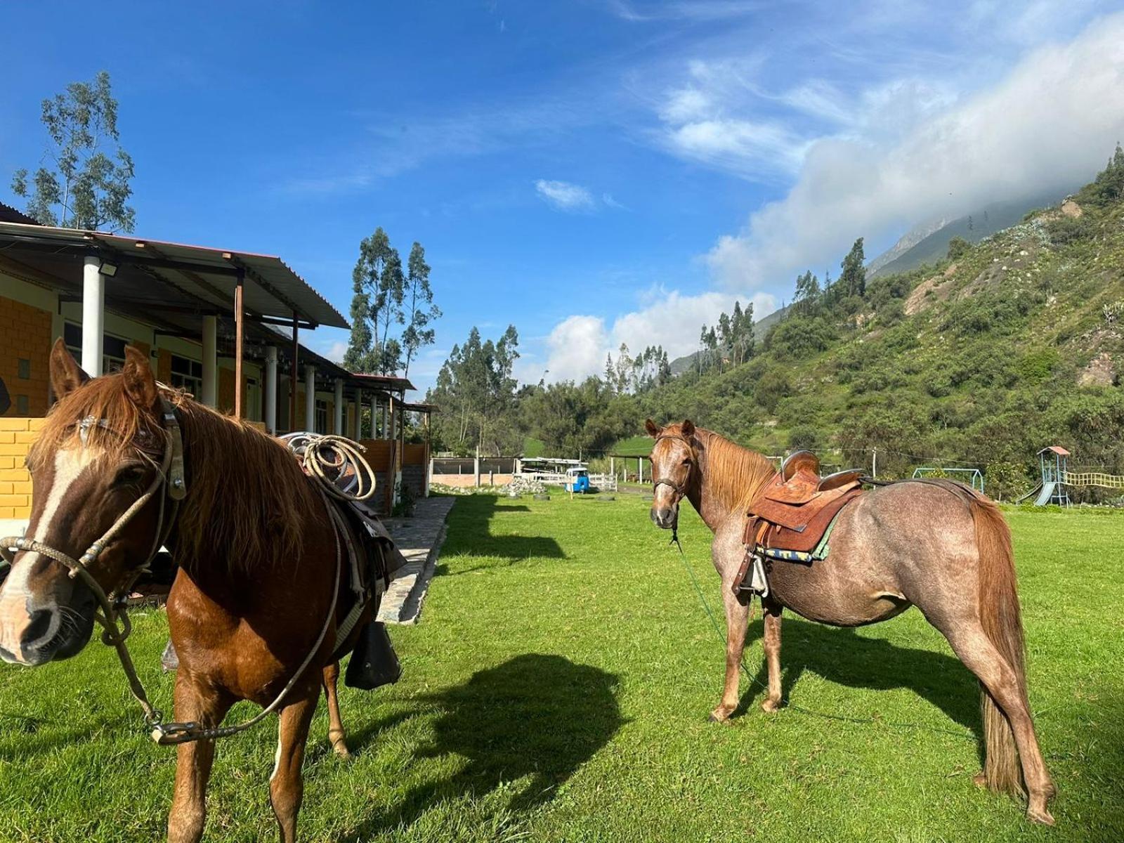 Tambo Lodge Canta Εξωτερικό φωτογραφία